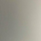 abglily profile picture