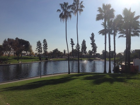 Header of abov3averagejoe