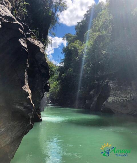 Header of alecplein111