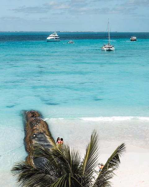 Header of alek_serrato