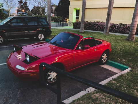 Header of alexthevegan