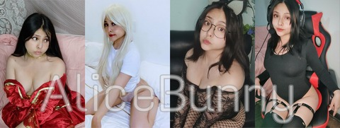 Header of alicecutebunny
