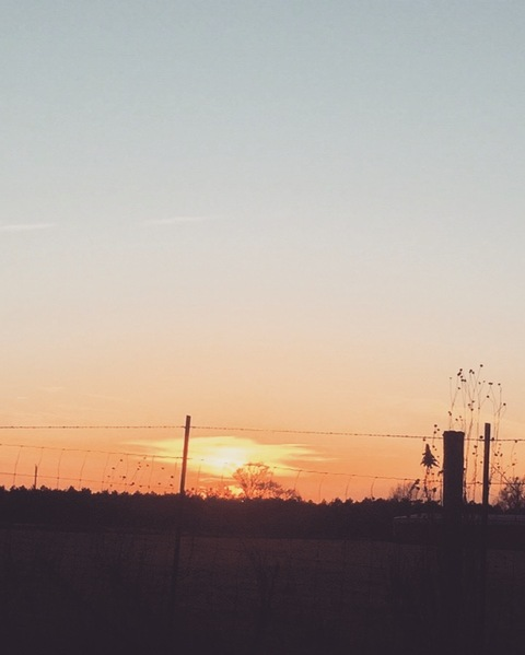 Header of alynaxcontent