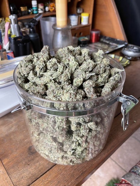 Header of andrewcane