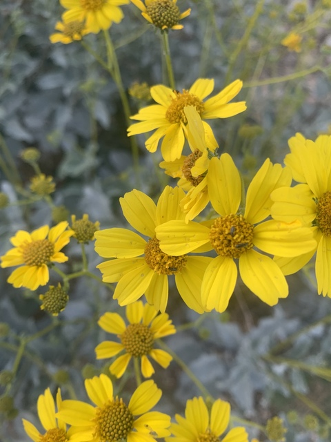 Header of angelarae27