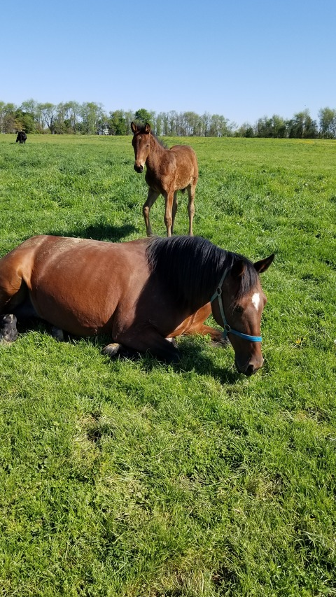 Header of angies1996