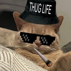 auburntwitches avatar