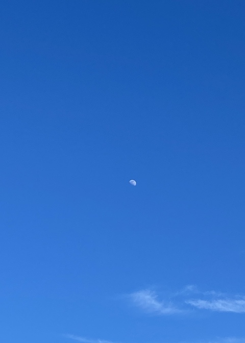 Header of augustjadefree