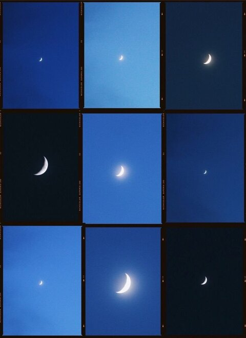 Header of babybribrixx