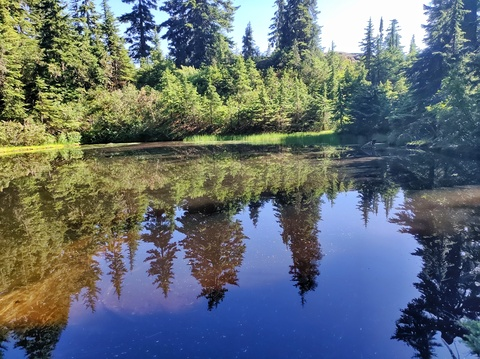 Header of babygirl.604