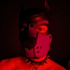 badboxerboy avatar