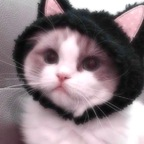 bbypowdr profile picture