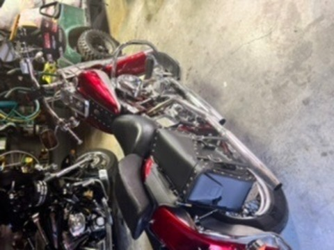 Header of bikerbarbie82