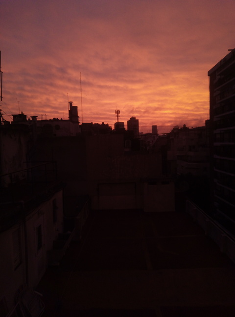 Header of blondedentist