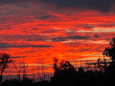 Header of bobafettish17