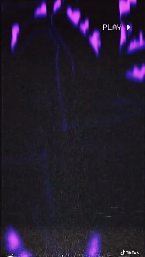 Header of bottombitchchronicles