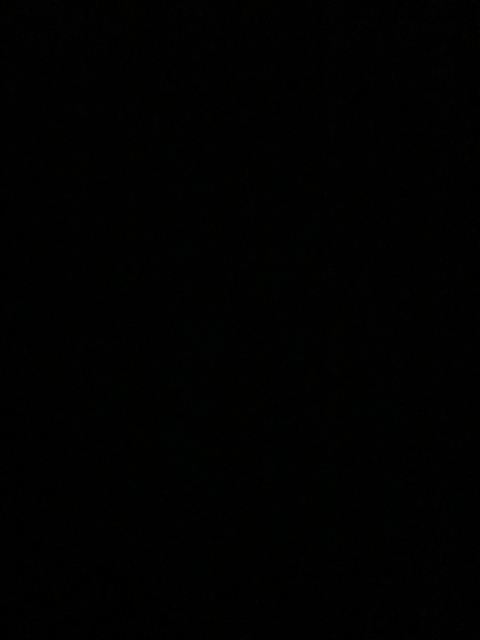 Header of brad_the_dad2021