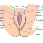 brianpussyeater avatar