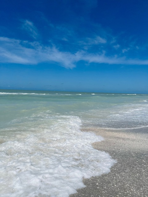 Header of britneyrose