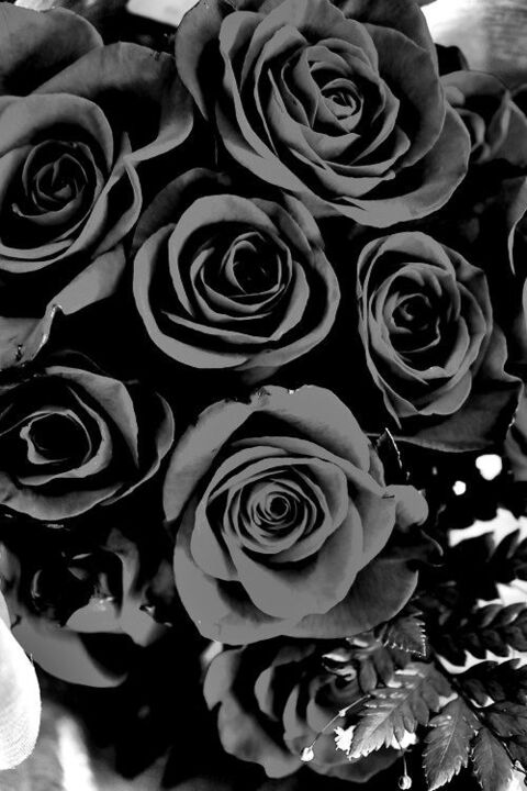 Header of bubbleslynn121