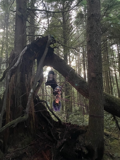 Header of bunnytiesknot