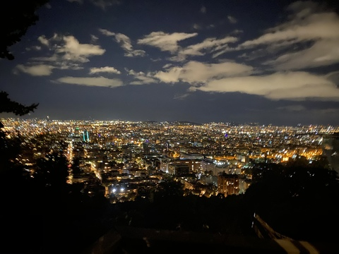 Header of butterfly1988