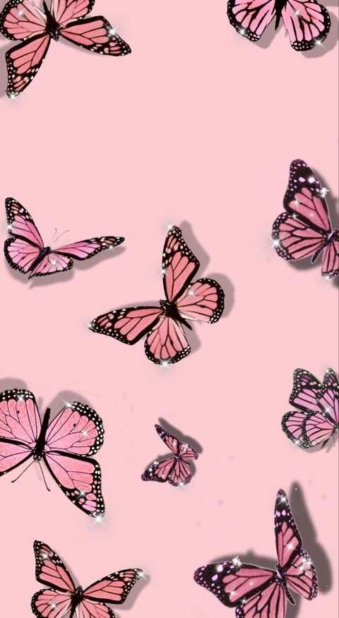 Header of butterrrfly