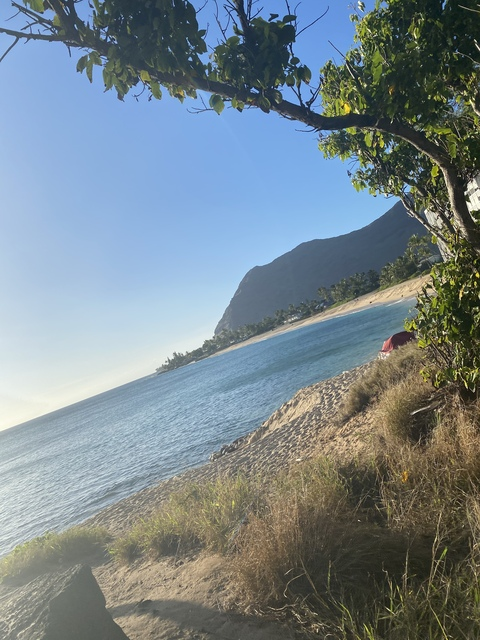 Header of carson_rhodes00