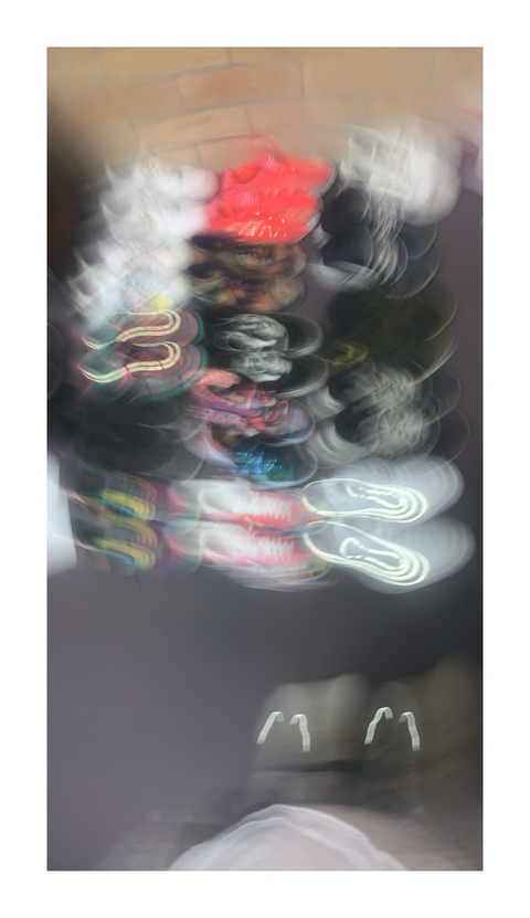 Header of cashlavender