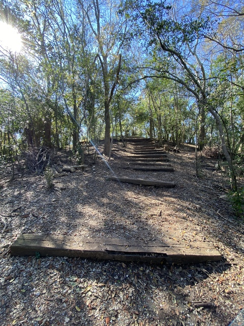 Header of celeste0517