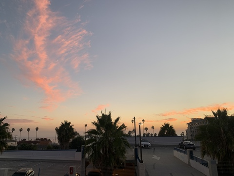 Header of cicimorals