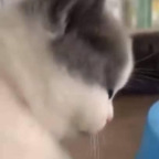 circa profile picture