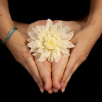 dahliablancfree avatar