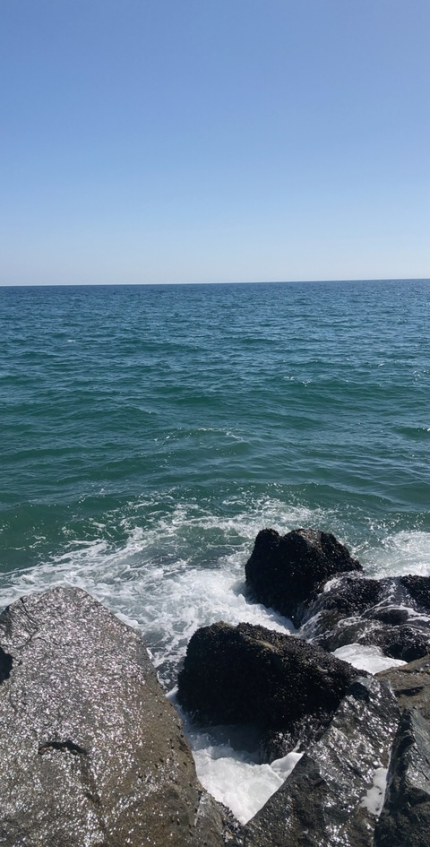 Header of daniel0303