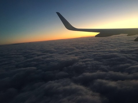 Header of danieltinez13