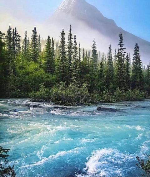 Header of dreamer2626