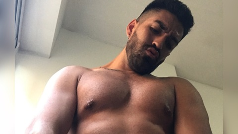 Header of elboydetuiterfree