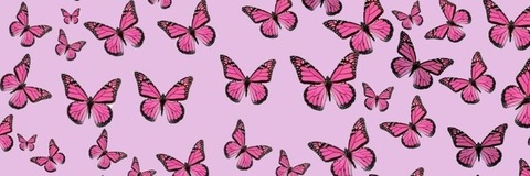 Header of emilyalexis