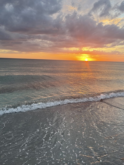 Header of exclusivehaitian