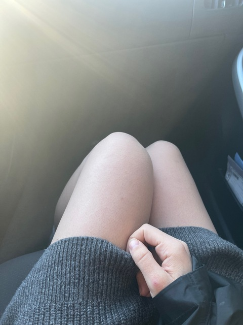 Header of falafelcakes