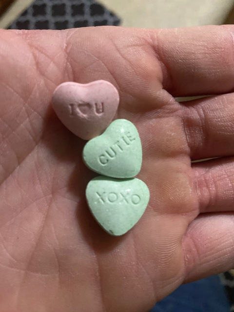 Header of fitzz_john