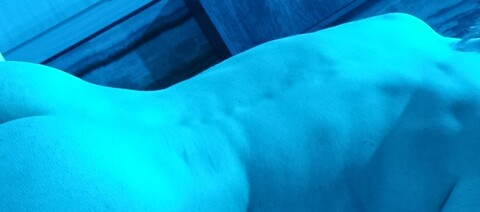 Header of frag.hoe.line