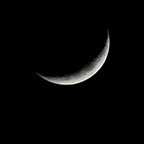 godthefather profile picture