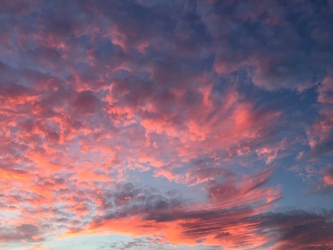 Header of greenvalentine