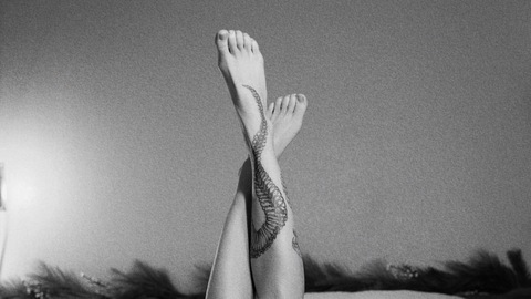 Header of headsplitterbby