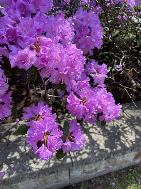 Header of hh234573268