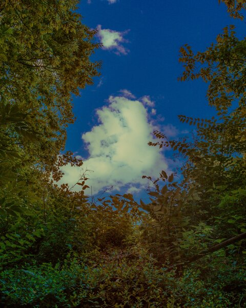 Header of hottiepolice