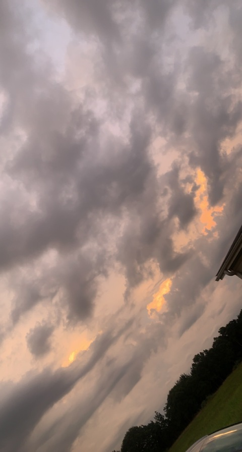 Header of hunterrrrrrrrrrr