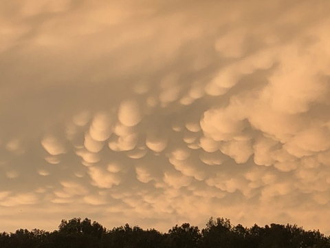 Header of i_seeyouseeme