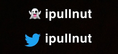 Header of ipullnut